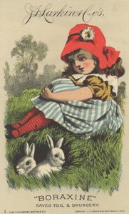 Reklama J.D. Larkina i Cos Boraxine, 1882
