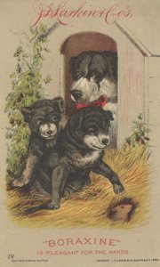 Reklama J.D. Larkina i Cos Boraxine, 1882 autorstwa American School