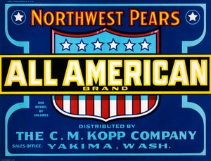 Etykieta skrzynek z owocami All American Brand, c.1920 (litografia) autorstwa American School