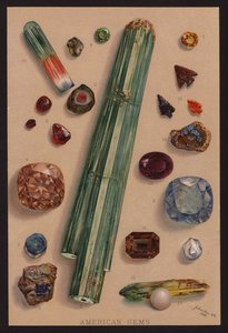 Amerykańskie klejnoty (kolorowa litografia) autorstwa American School