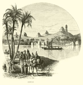 Asuan autorstwa American School