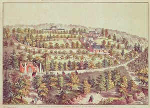Widok z lotu ptaka na Mount Vernon, 1859 autorstwa American School