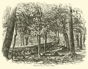 Napierśnik w lesie, lipiec 1863 r. autorstwa American School