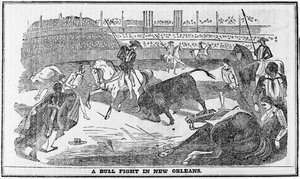 Walka byków w Nowym Orleanie, z Davy Crocketts Almanack, Boston, 1849 autorstwa American School