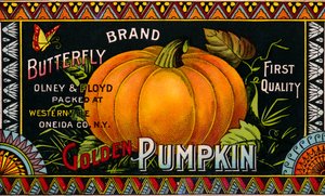 Etykieta produktu Butterfly Golden Pumpkin autorstwa American School