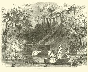 Zapasy bawełny na południowych bagnach, lipiec 1862 r. autorstwa American School