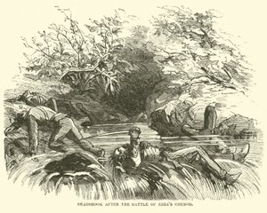 Deadbrook po bitwie pod kościołem Ezras, sierpień 1864 r. autorstwa American School