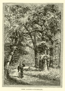 Deer Garden, Sztokholm autorstwa American School