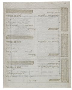 Dixie wydrukowany na odwrocie czeków, 1861 autorstwa American School