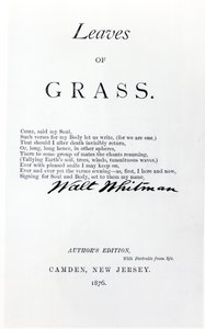 Frontyspis do liści trawy Walta Whitmana (1819-92), wyd. w 1876 autorstwa American School