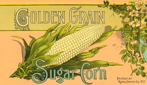 Etykieta produktu Golden Grain Sugar Corn, ok. 1890 r. (kolorowa litografia) autorstwa American School