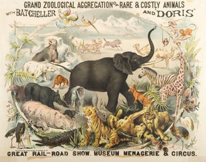 Wielka Zoologiczna Agregacja Rzadkich i Kosztownych Zwierząt z Batchellerem i Doris (chromolitho) autorstwa American School