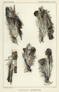 Ha-Cha-Mo-Ni with plumes attached autorstwa American School