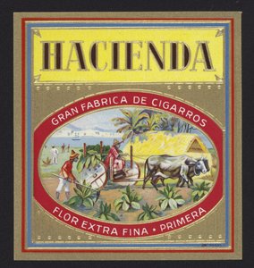 Hacjenda autorstwa American School