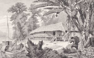 Dom bogatego kolekcjonera indyjskiej gumy, z „Rzek Amazonki i Madery”, Franza Kellera, 1874 autorstwa American School