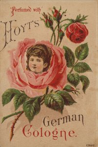 Hoyts Niemiecka Kolonia autorstwa American School