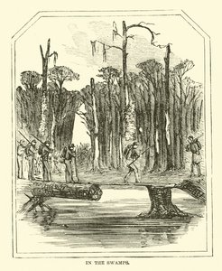 Na bagnach, marzec 1863 autorstwa American School
