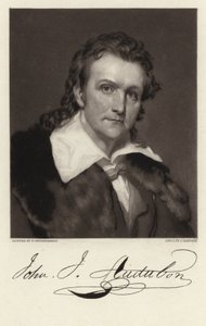 John James Audubon autorstwa American School