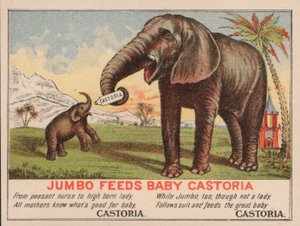 Jumbo karmi małą Castorię, reklama leku Castoria Fletchera, ze słynnym słoniem cyrkowym PT Barnuma autorstwa American School