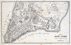 Mapa Nowego Jorku (lito) autorstwa American School