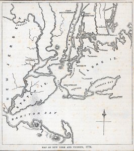 Mapa Nowego Jorku i okolic (lito) autorstwa American School