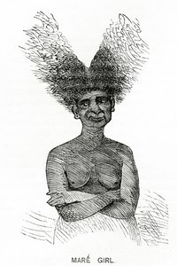 Mare Girl, ilustracja z Appletons Journal, 4 maja 1872 r. autorstwa American School