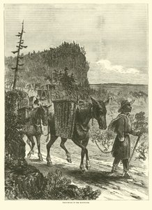 juczne muły w górach, luty 1863 autorstwa American School