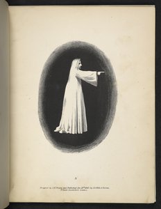 Płyta 3. Duch w bieli.  Spektropia; lub, Zaskakujące iluzje widmowe pokazujące duchy wszędzie i w dowolnym kolorze itp. Ser. 1.  J.H. brązowy  1864 autorstwa American School