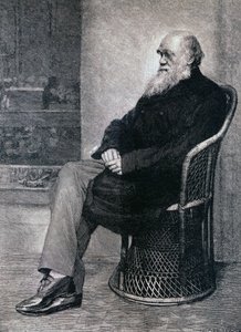 Portret Karola Darwina autorstwa American School
