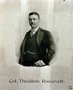 Portret pułkownika Theodore
