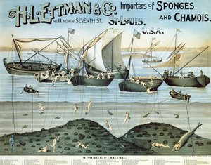 Plakat reklamujący H.L. Ettman & Co., Importerzy gąbek i zamszu, 1897