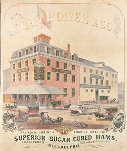 Plakat reklamujący John Bower & Co. Superior Sugar Cured Hams