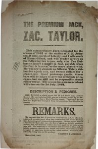 Obrady i przemówienie Konwencji Konstytucyjnej, ok. 19 marca 1861 r. autorstwa American School