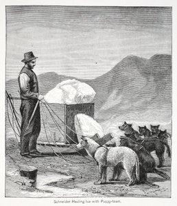Schneider ciągnący lód z zespołem Puppy, wyd. Londyn 1886 autorstwa American School