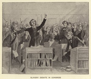 Debata na temat niewolnictwa w Kongresie (litografia) autorstwa American School