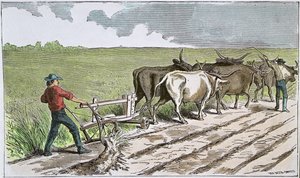 Sodbusters amerykańskiego Zachodu, c.1880 (kolorowe grawerowanie) autorstwa American School