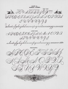 Listy standardowe; Ręka damska; Kapitele na całe ramię (grawerowanie) autorstwa American School