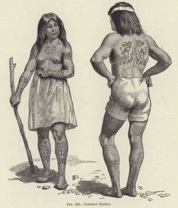 Tattooed Haidas autorstwa American School