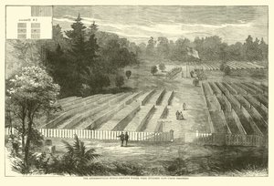 Cmentarzysko Andersonville, na którym pochowano 14 000 więźniów Unii, maj 1865 r autorstwa American School