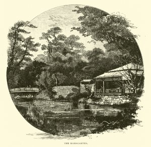 Hamagarten autorstwa American School
