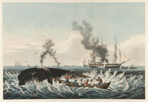 Łowisko wielorybów - Atak na „prawego” wieloryba i „Podcinanie”, wyd. 1860 (kolor lito) autorstwa American School