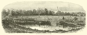 Pole pszenicy, na którym padł Reynolds, lipiec 1863 r. autorstwa American School