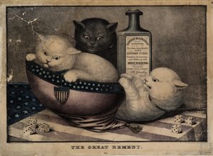 Wielkie lekarstwo, opublikowane przez E.B. i E.C. Kellogg, Hartford Ct. i Phelps i Watson, Nowy Jork, oraz F.P. Whiting, Nowy Jork, c. 1863 autorstwa American School