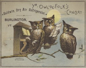 Trzy śpiewające sowy (chromolitho) autorstwa American School
