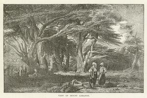 Widok na górę Liban autorstwa American School