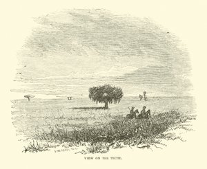 Widok na Teche, kwiecień 1863 autorstwa American School