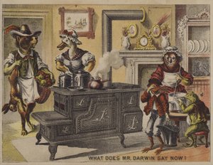 Co teraz mówi pan Darwin? (chromolit) autorstwa American School