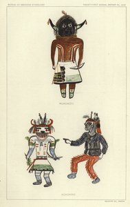 Wukokoti, Kohonino (kolorowa litografia) autorstwa American School