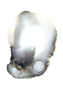 Próbka XI autorstwa Amy Louise Baker