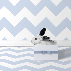 Króliczki 06, 2018 (fotografia)